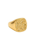 MONICA RING - gold plated surgical steel